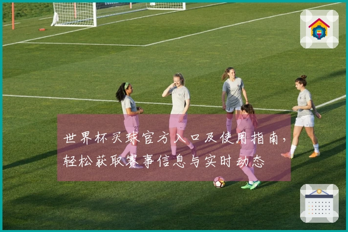 世界杯买球官方入口及使用指南,轻松获取赛事信息与实时动态