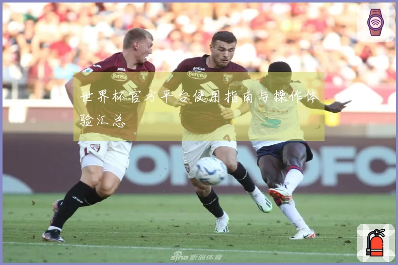 世界杯官方平台使用指南与操作体验汇总