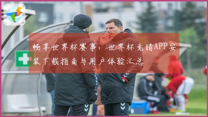 畅享世界杯赛事，世界杯竞猜APP安装下载指南与用户体验汇总