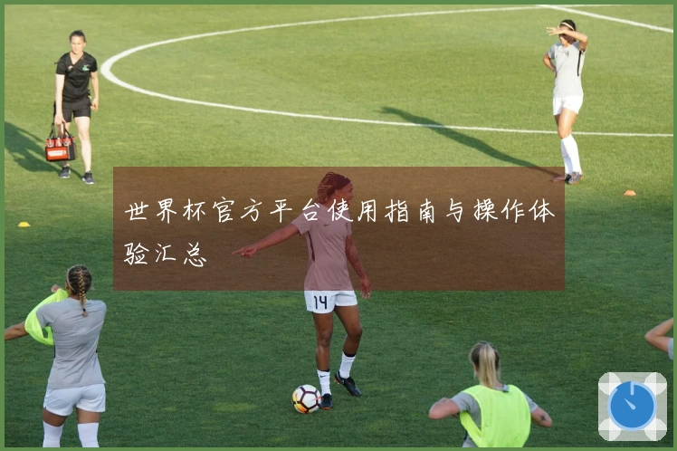 世界杯官方平台使用指南与操作体验汇总