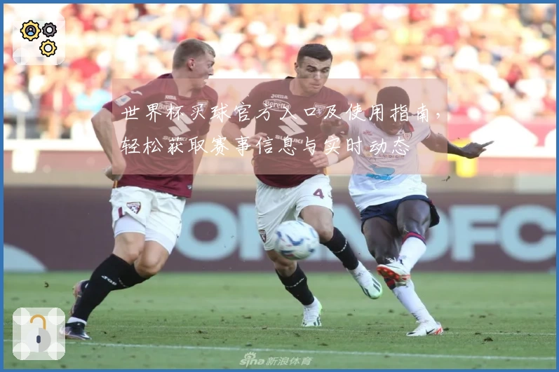 世界杯买球官方入口及使用指南，轻松获取赛事信息与实时动态