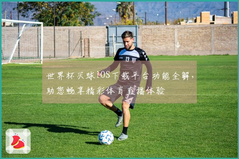 世界杯买球iOS下载平台功能全解，助您畅享精彩体育直播体验