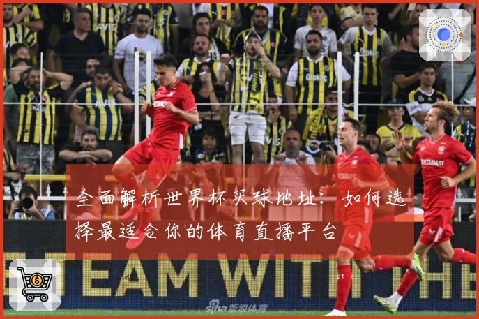 全面解析世界杯买球地址：如何选择最适合你的体育直播平台