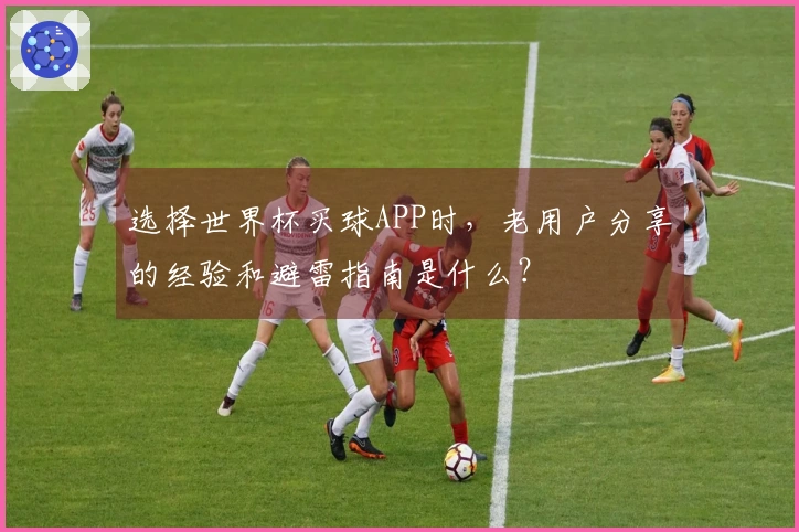 选择世界杯买球APP时，老用户分享的经验和避雷指南是什么？