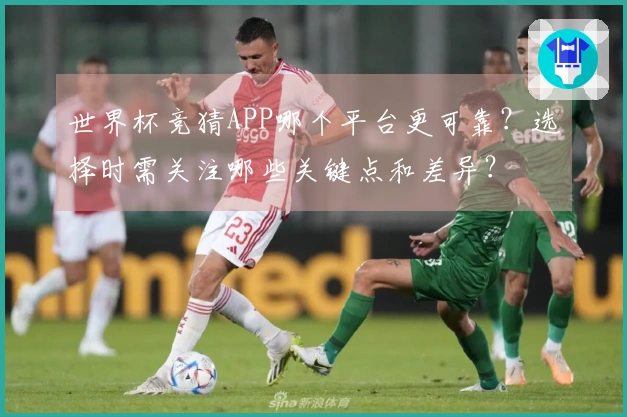 世界杯竞猜APP哪个平台更可靠？选择时需关注哪些关键点和差异？
