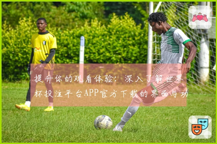 提升你的观看体验：深入了解世界杯投注平台APP官方下载的界面与功能