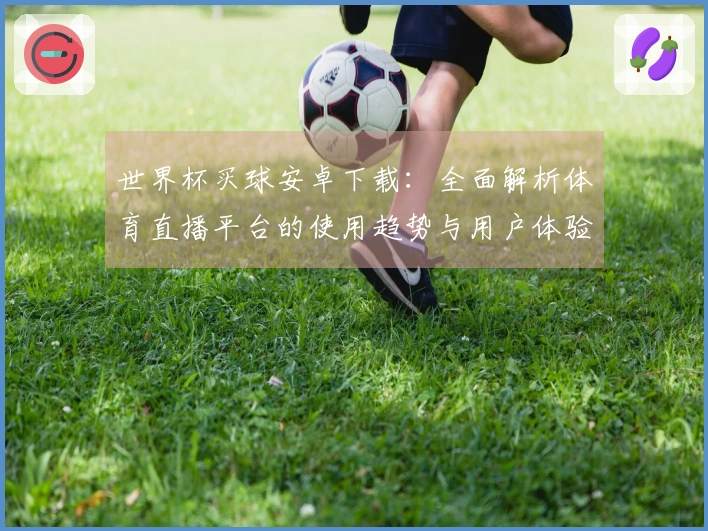 世界杯买球安卓下载：全面解析体育直播平台的使用趋势与用户体验