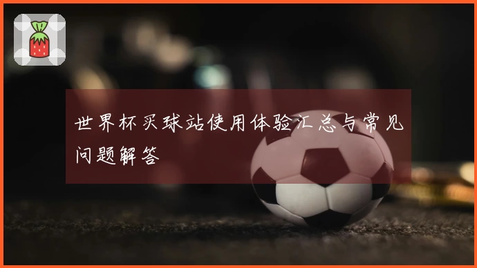世界杯买球站使用体验汇总与常见问题解答