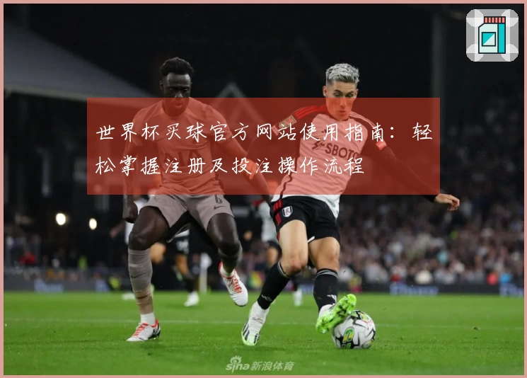 世界杯买球官方网站使用指南：轻松掌握注册及投注操作流程