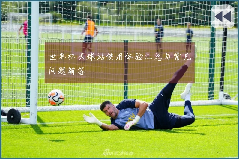 世界杯买球站使用体验汇总与常见问题解答