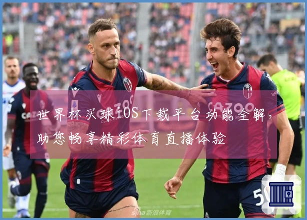 世界杯买球iOS下载平台功能全解,助您畅享精彩体育直播体验