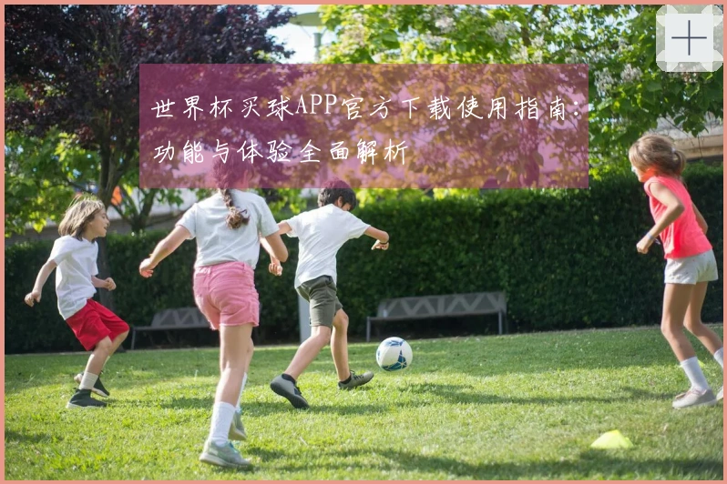 世界杯买球APP官方下载使用指南：功能与体验全面解析