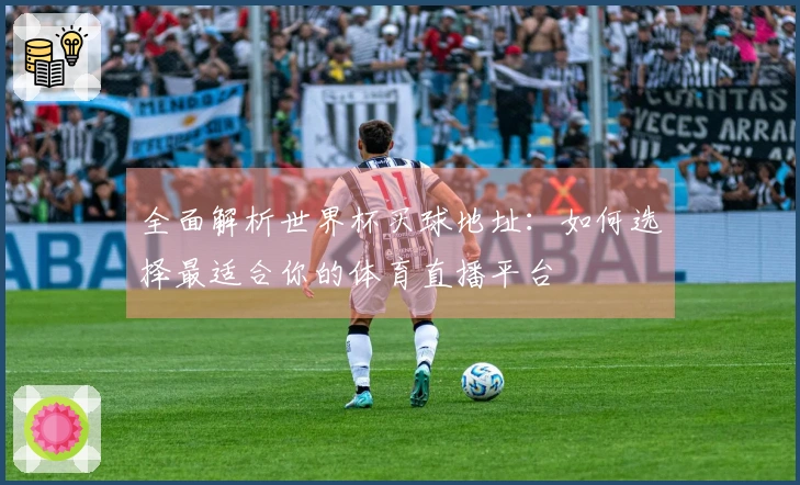 全面解析世界杯买球地址：如何选择最适合你的体育直播平台