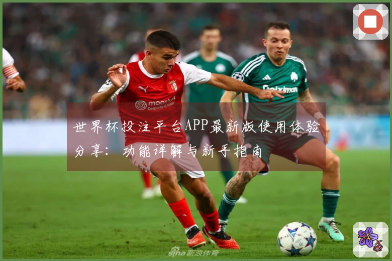 世界杯投注平台APP最新版使用体验分享：功能详解与新手指南
